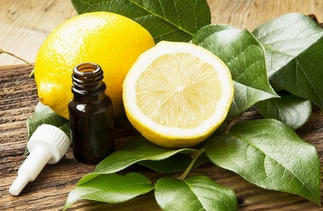 Чем полезно эфирное масло лимона